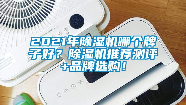 2021年除濕機哪個牌子好？除濕機推薦測評+品牌選購！