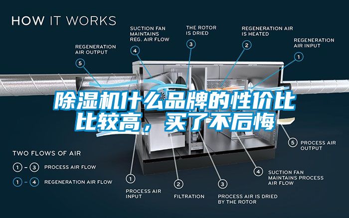 除濕機(jī)什么品牌的性價(jià)比比較高，買了不后悔