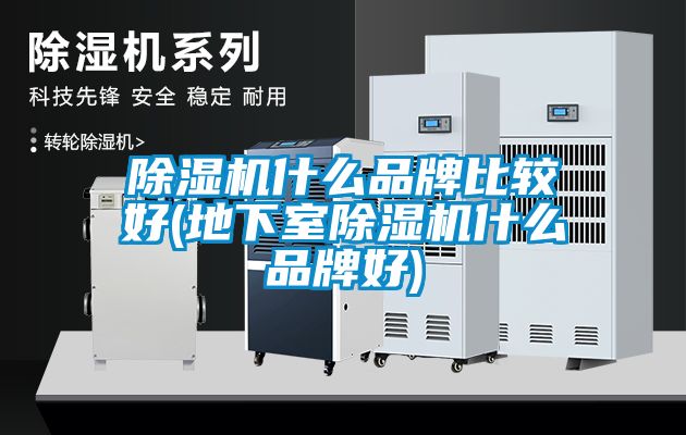 除濕機(jī)什么品牌比較好(地下室除濕機(jī)什么品牌好)