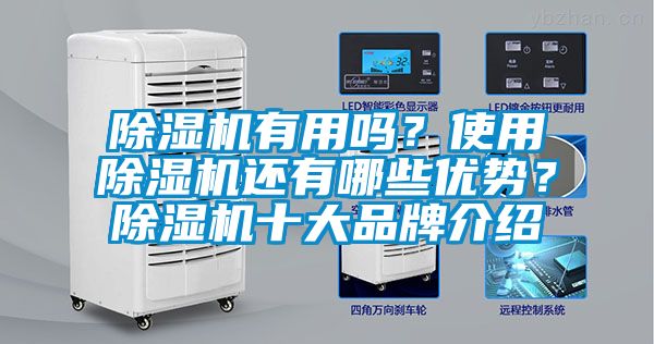 除濕機有用嗎？使用除濕機還有哪些優(yōu)勢？除濕機十大品牌介紹